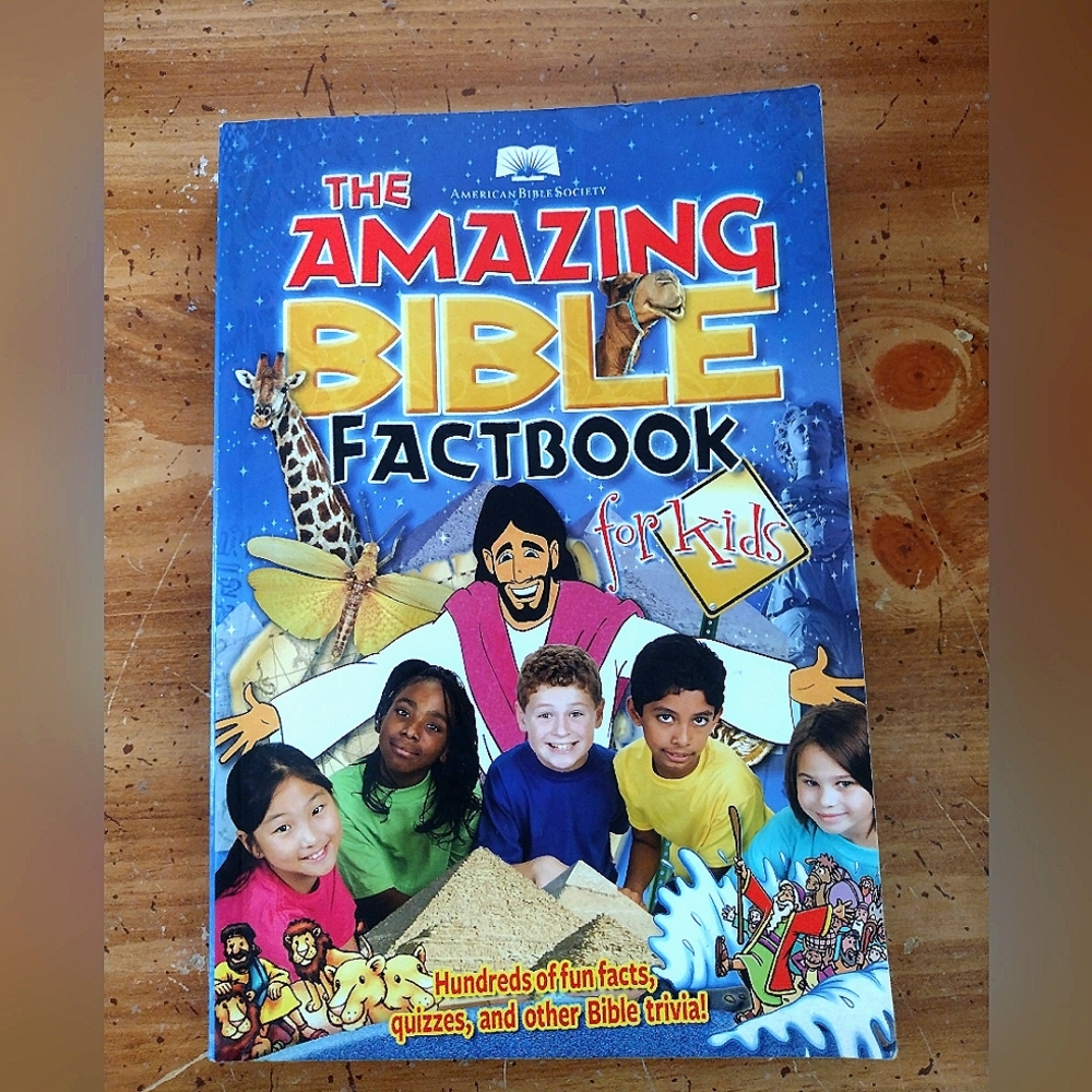 'The Amazing Bible Fact book For Kids'